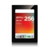 SP256GBSSDE20S25