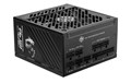 MPG A1250GS PCIE5