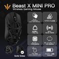 Beast X Mini Pro (TTC) Black(サイド穴なし)