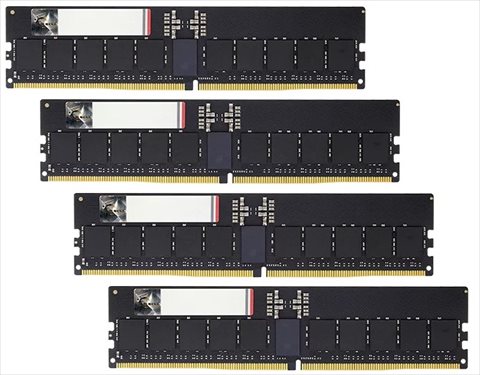 F5-6000R3036G48GQ4-G5 ※注！ 本製品はサーバー用のECC Registered DIMMです。一般のパソコンでは動作いたしません。