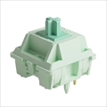 【45個】 Akko Botany Switch AKKO02-00013 5月28日発売