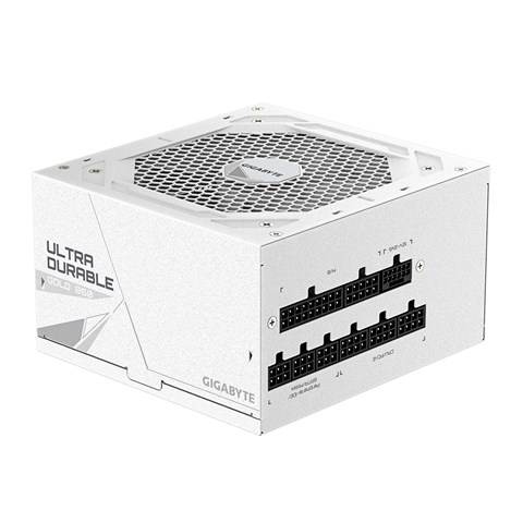 GP-UD850GM PG5 ICE