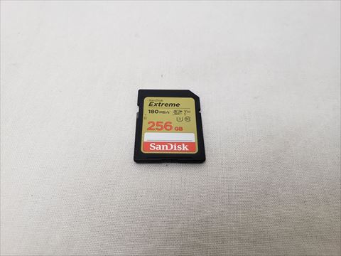 SDSDXVV-256G-GNCIN 各サイトで併売につき売切れのさいはご容赦願います。