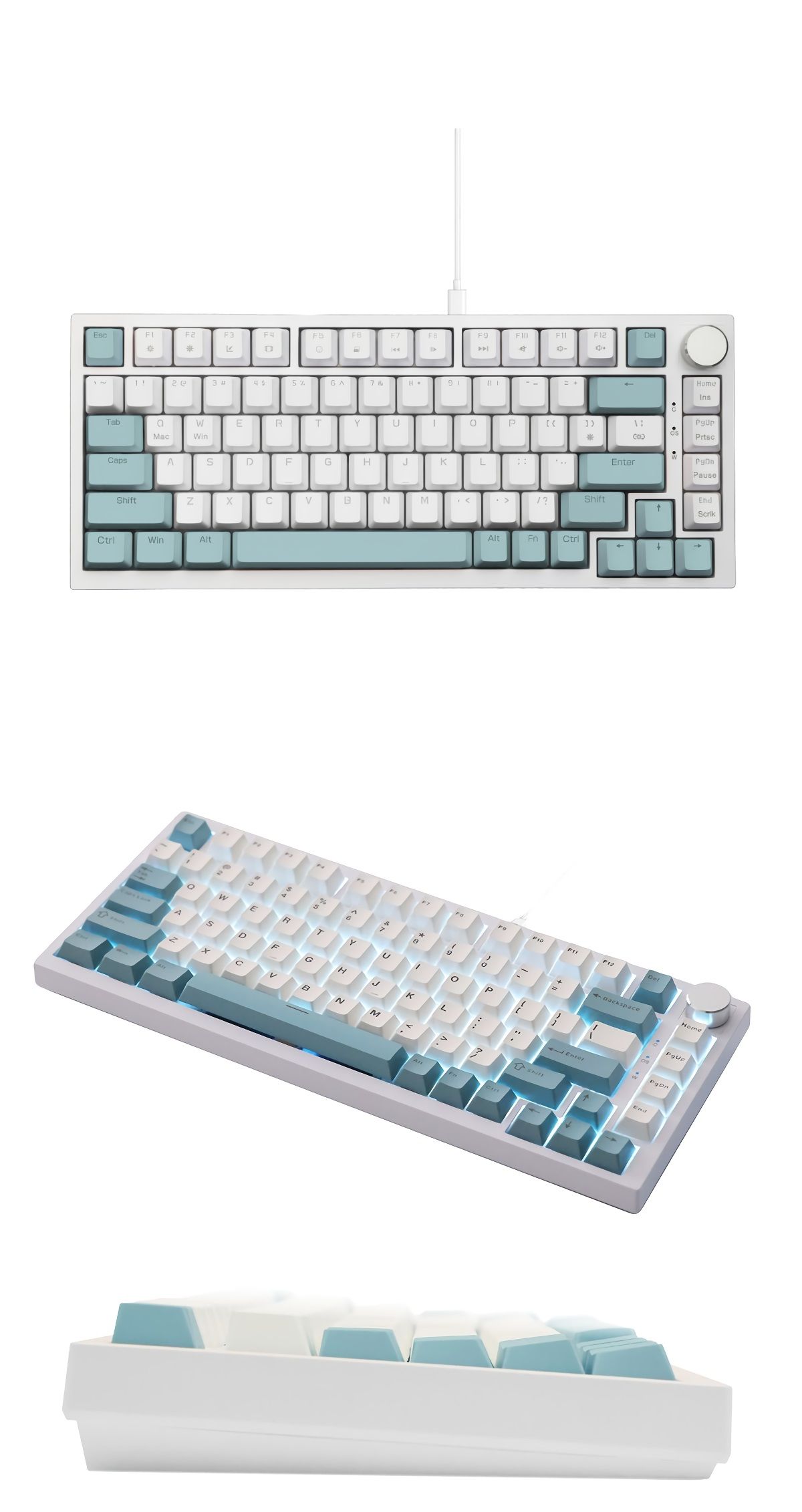 EvoKeys 82 ナイルブルー＆クリーム ラピッドトリガー対応 82＋1 US