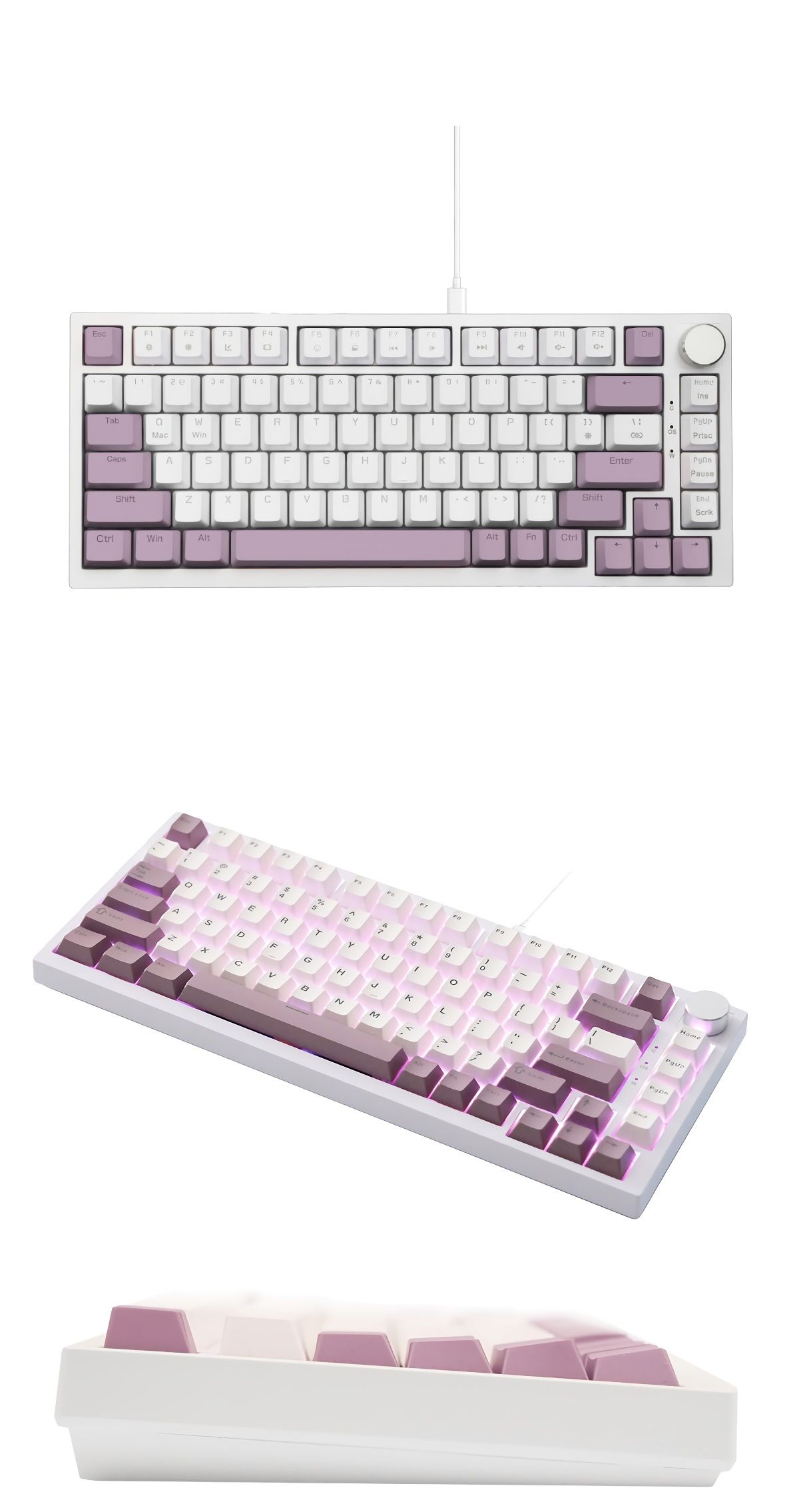 EvoKeys 82 ラベンダー＆クリーム ラピッドトリガー対応 82＋1 US配列