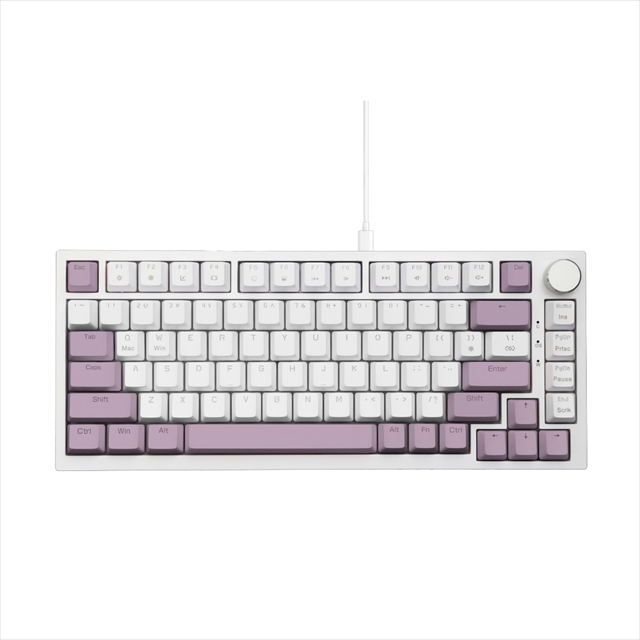 EvoKeys 82 ラベンダー＆クリーム ラピッドトリガー対応 82＋1 US配列キーボード SE-KBD0CG001F