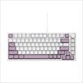 EvoKeys 82 ラベンダー＆クリーム ラピッドトリガー対応 82＋1 US配列キーボード SE-KBD0CG001F