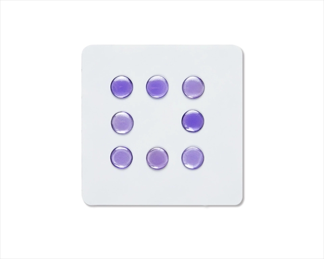 UNUSUAL WAY SPORTS 狐瞳 FOX GAZE Purple