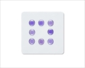 UNUSUAL WAY SPORTS 狐瞳 FOX GAZE Purple