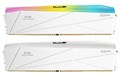 TMXFL00WWK DDR5 Manta XFinity RGB Dummy Kit