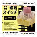 【1個】 Unionwell Polar RGB Switch ☆40個まで￥250クリックポスト対応可能！