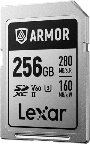 LSDAMSP256G-RNNNG 海外輸入版