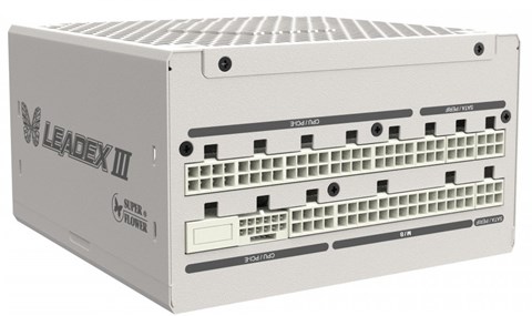 LEADEX III GOLD 1000W ATX3.1 WT SF-1000F14GE WT