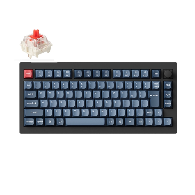 V1M-D1V-JIS V1 Max QMK/VIA ワイヤレス カスタム・メカニカルキーボード - RGB - JIS配列（かな印字なし）（テンキーレス）- カーボンブラック / Gateron Jupiter スイッチ（ホットスワップ）赤軸 / PBTダブルショットキーキャップ