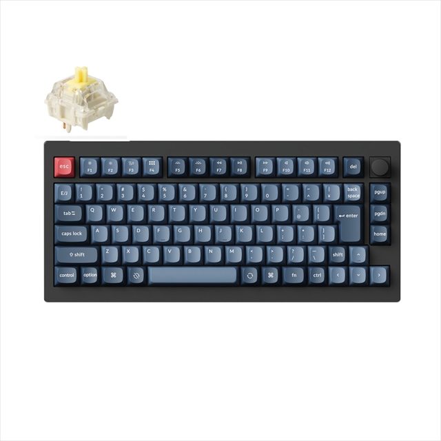 V1M-D4V-JIS V1 Max QMK/VIA ワイヤレス カスタム・メカニカルキーボード - RGB - JIS配列（かな印字なし）（テンキーレス）- カーボンブラック / Gateron Jupiter スイッチ（ホットスワップ）バナナ軸 / PBTダブルショットキーキャップ