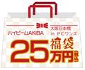 店頭限定！ハイビーム2026年 新春福袋！！税込み25万円セットB　1月2日午前11時より発売( 限定１セット)