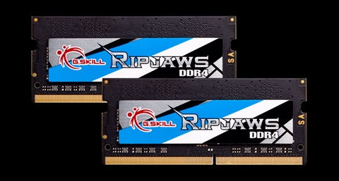 F4-2666C18D-64GRS