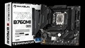 MS-Terminator B760M GKD5 WIFI