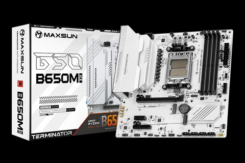 MS-Terminator B650M WIFI ICE