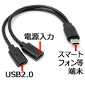 RUA-OTGTPC2 2TYPE-Cメス仕様(5V充電+USB-C2．0DATA) ☆6個まで￥250クリックポスト対応可能！