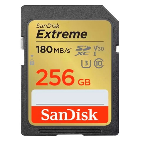 SDSDXGN-256G-GNCIN