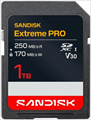 SDSDXXJ-1T00-GSCIN ExtremePro