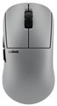 Pulsar Pro Series BUZZ-X Medium Gaming Mouse PBZX21