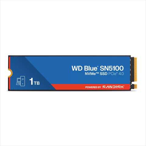 WDS100T5B0E（海外輸入品）