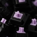 【35個】 Gateron Oil King Purple ☆1個まで￥250クリックポスト対応可能！