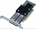 P2100G 2 x 100GbE PCIe NIC P2100G