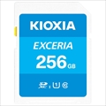 LNEX1L256GG4  海外パッケージ版 ☆6個まで￥250クリックポスト対応可能！