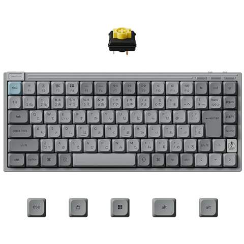 J9-MH4-JIS J9 QMK ワイヤレス・メカニカルキーボード-White LED - JIS配列（かな印字あり）（テンキーレス） /Keychron Milk POMロープロファイルメカニカルスイッチ（ホットスワップ）バナナ軸/ PBTダブルショットキーキャップ