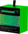 PBT Keycap + Coiled Cable Upgrade Set  Razer Green - US RC21-01490700-R3M1