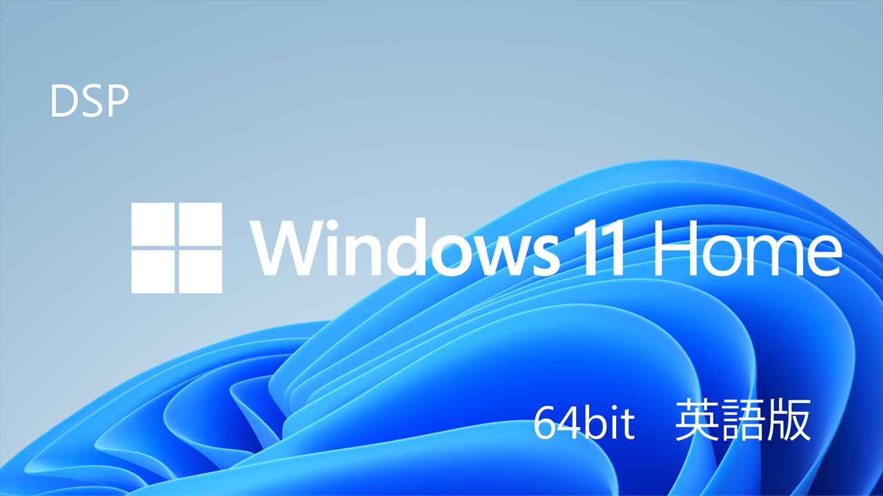 Windows 11 Home 64bit 英語 DSP版 + バルクメモリ ☆1個まで￥300