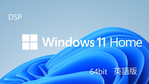 Windows 11 Home 64bit 英語 DSP版 + バルクメモリ ☆1個まで￥250クリックポスト対応可能！　