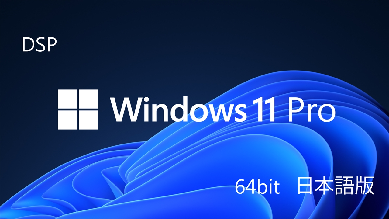 Windows 11 Pro (DSP版) 64bit