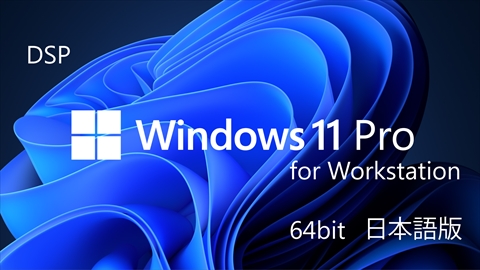 DSP版 Windows 11 Pro for Workstation 64bit 日本語版 1pk DVD ※バンドル対象品とのセット販売のみです。本製品だけの注文では販売できません。