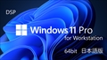 DSP版 Windows 11 Pro for Workstation 64bit 日本語版 1pk DVD + バルクメモリ