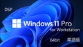 DSP版 Windows 11 Pro for Workstation 64bit 英語版 1pk DVD + バルクメモリ