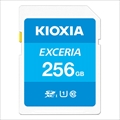 LNEX1L256GC4  海外パッケージ版 ☆6個まで￥250クリックポスト対応可能！