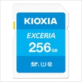 LNEX1L256GC4  海外パッケージ版 ☆6個まで￥300ネコポス対応可能！