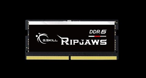 F5-4800S3838A16GX1-RS