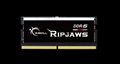 F5-4800S3838A16GX1-RS