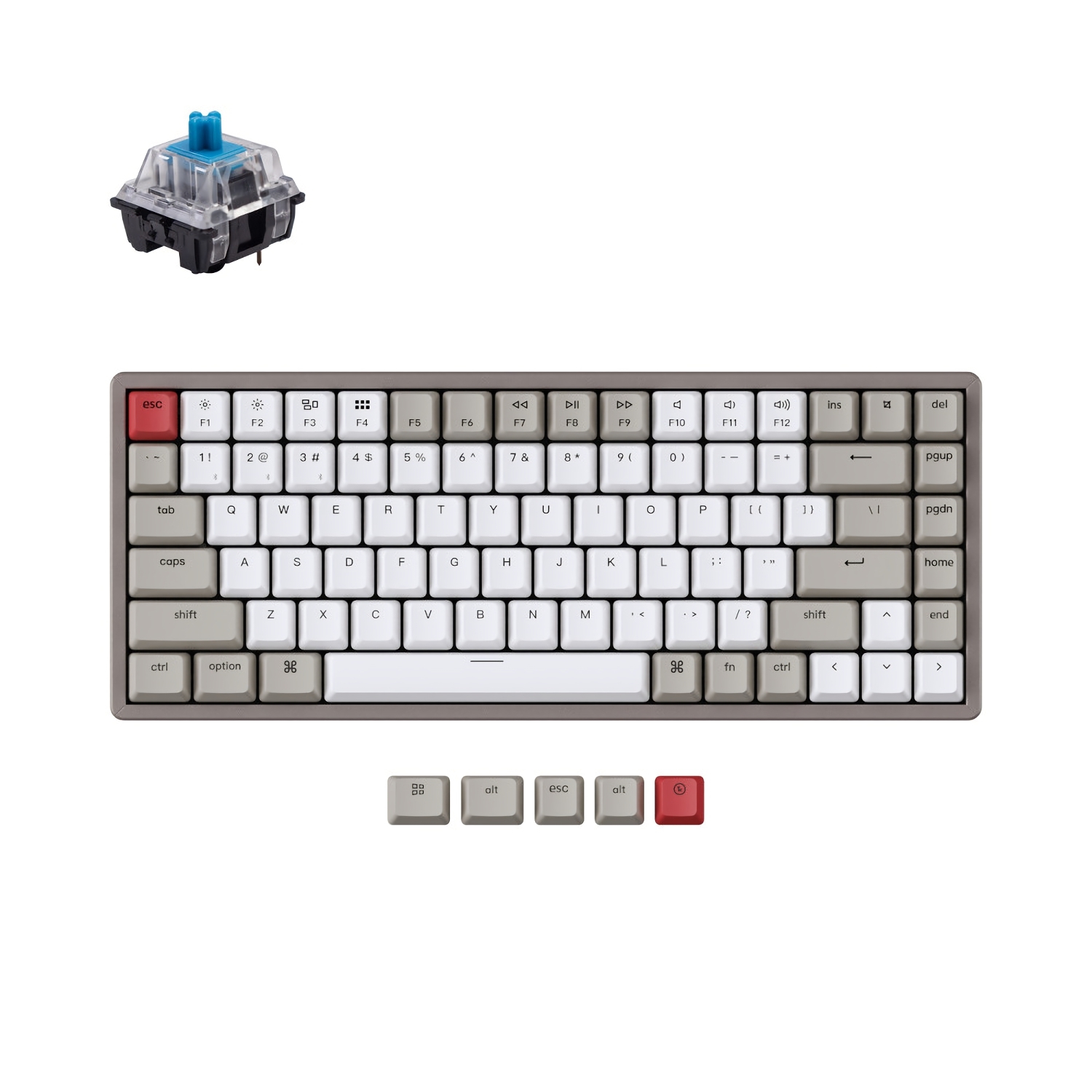 Keychron K2 V2 ノンバックライト ワイヤレス メカニカルキーボード Us配列 テンキーレス Keychronメカニカル ホットスワップ 青軸 K2 V2 M2 Us キーボード ゲーミングデバイス ゲーミング Pcパーツと自作パソコン 組み立てパソコンの専門店 1 S