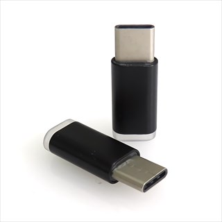 TM-TPCADX2 USB TypeC変換アダプタ 2個入り ☆6個まで￥250クリックポスト対応可能！