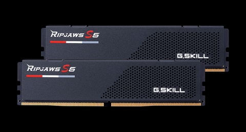 F5-6000J3636F16GX2-RS5K