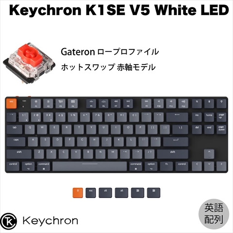 Keychron K1SE ワイヤレス・メカニカルキーボード White LED - US配列（テンキーレス）-Gateron（ホットスワップ） 赤軸 K1SE-G1-US
