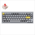 Q2-N1-US Keychron Q2 QMK カスタム・メカニカルキーボード　ノブバージョン - US配列（テンキーレス）- 組み立て済み / シルバーグレー / Gateron G Proスイッチ（ホットスワップ） 赤軸