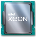 Xeon W-1390P Processor (CM8070804497213) バルク