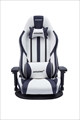 極坐 V2 ホワイト AKR-GYOKUZA/V2-WHITE 耐久性に改良を施した日本限定座椅子タイプモデルのセカンドバージョン